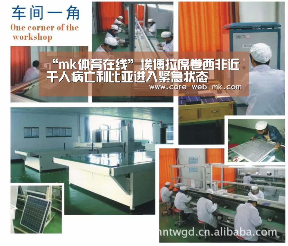 “mk体育在线”埃博拉席卷西非近千人病亡利比亚进入紧急状态(图2) mk体育备用